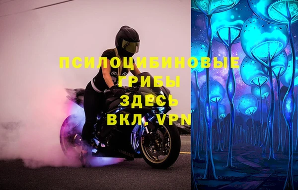 трава Дмитриев