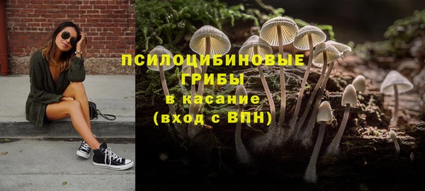 спиды Дмитров